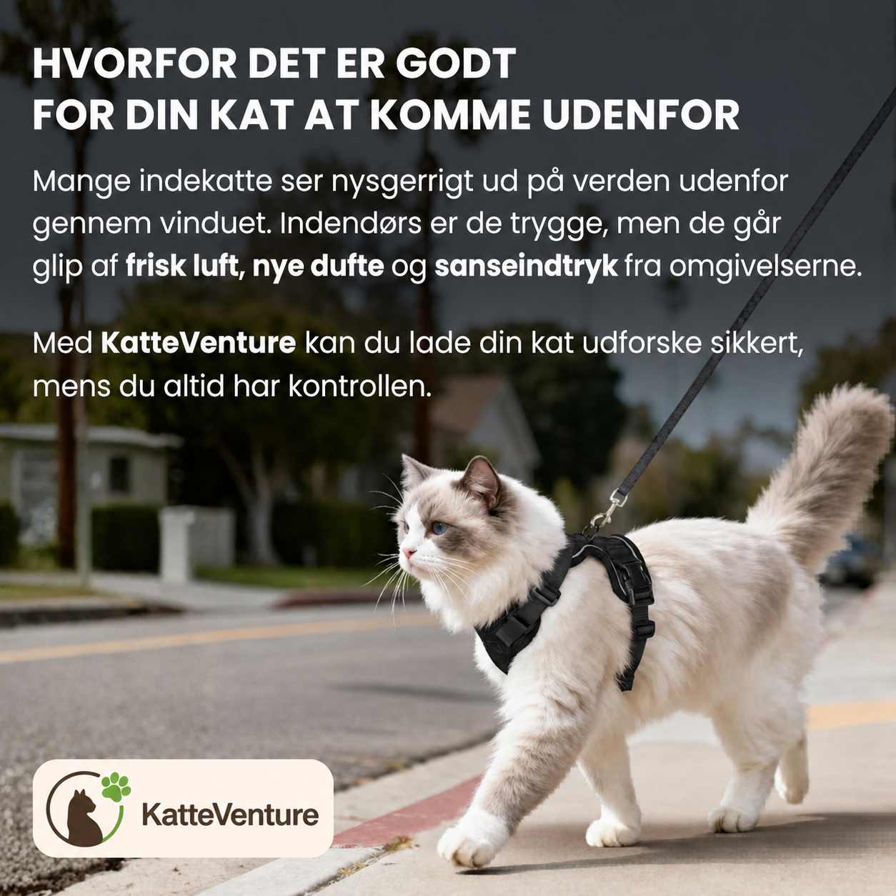 KatteVenture™ - Åndbart og justerbart katteharness med line