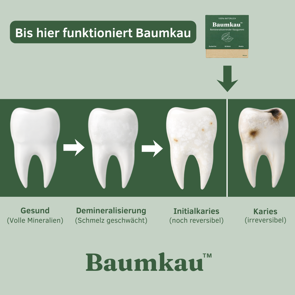 BirkTyg™ – Remineraliserende tyggegummi