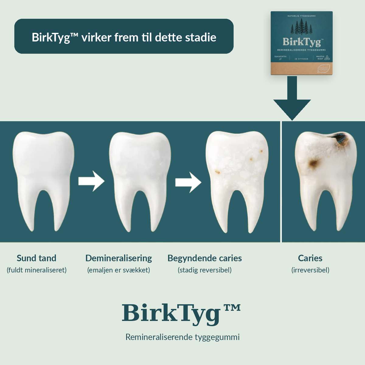 BirkTyg™ – Remineraliserende tyggegummi