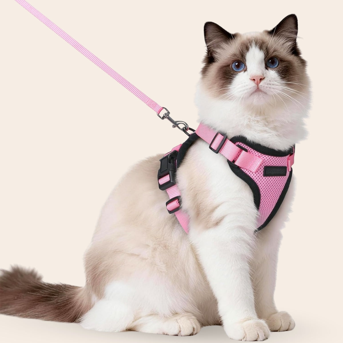 KatteVenture™ - Åndbart og justerbart katteharness med line