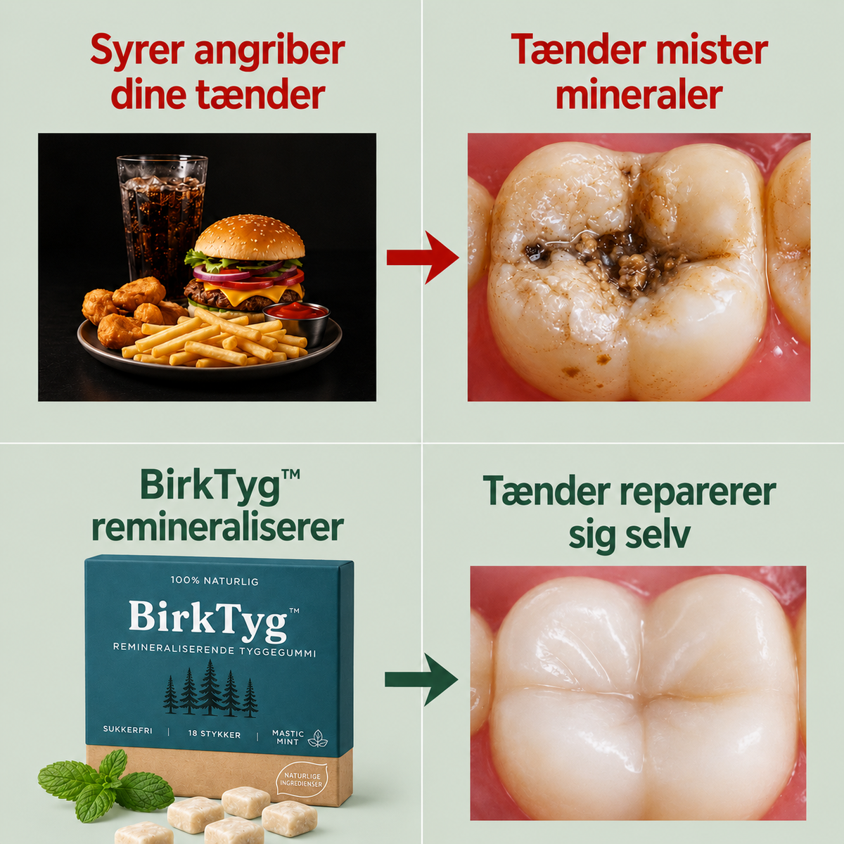 BirkTyg™ – Remineraliserende tyggegummi