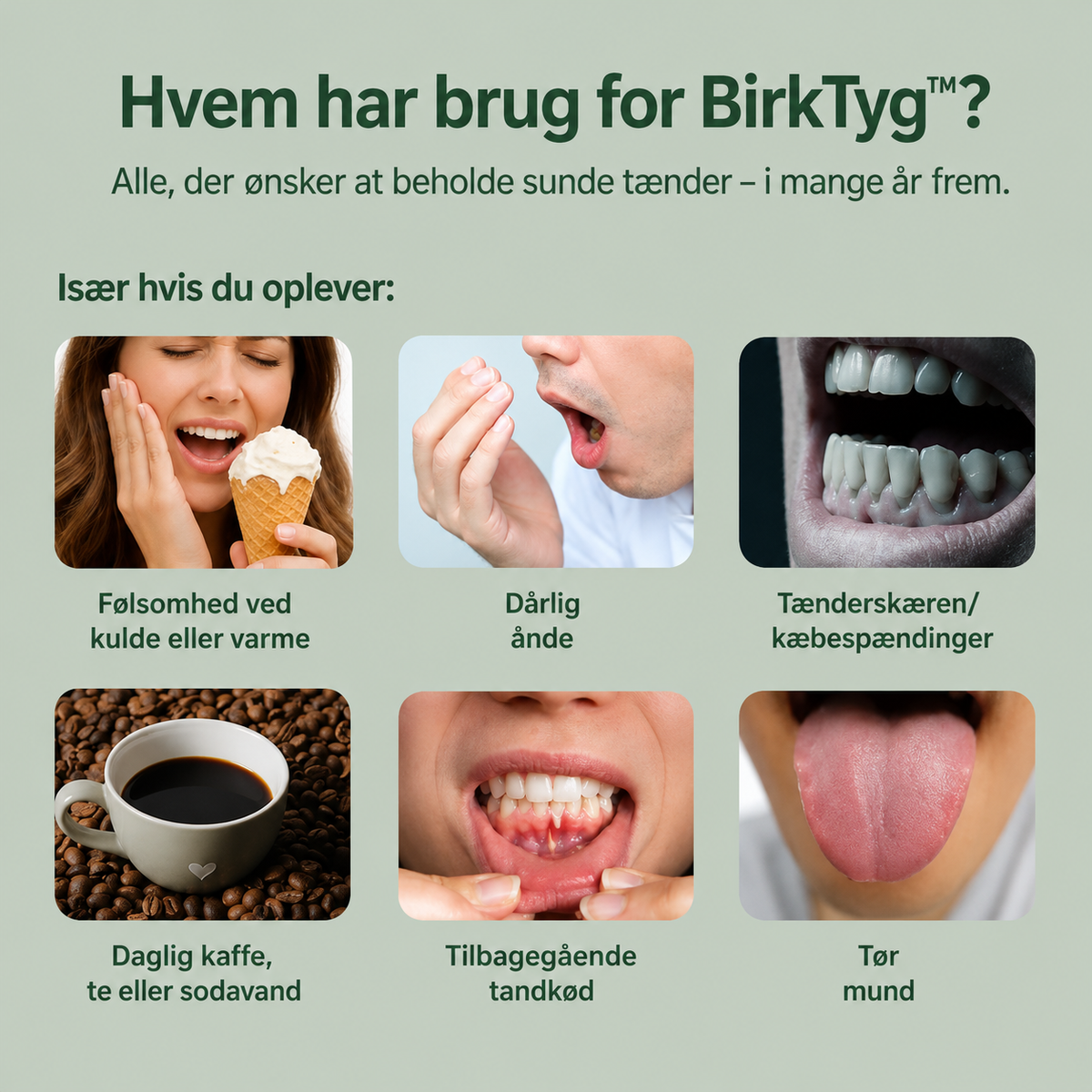 BirkTyg™ – Remineraliserende tyggegummi