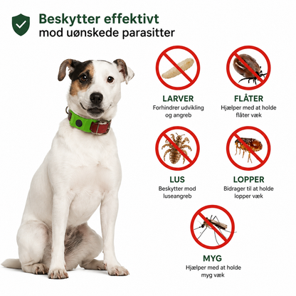 Loppefri™ – 12 måneders beskyttelse mod lopper, flåter & parasitter – til alle hunde